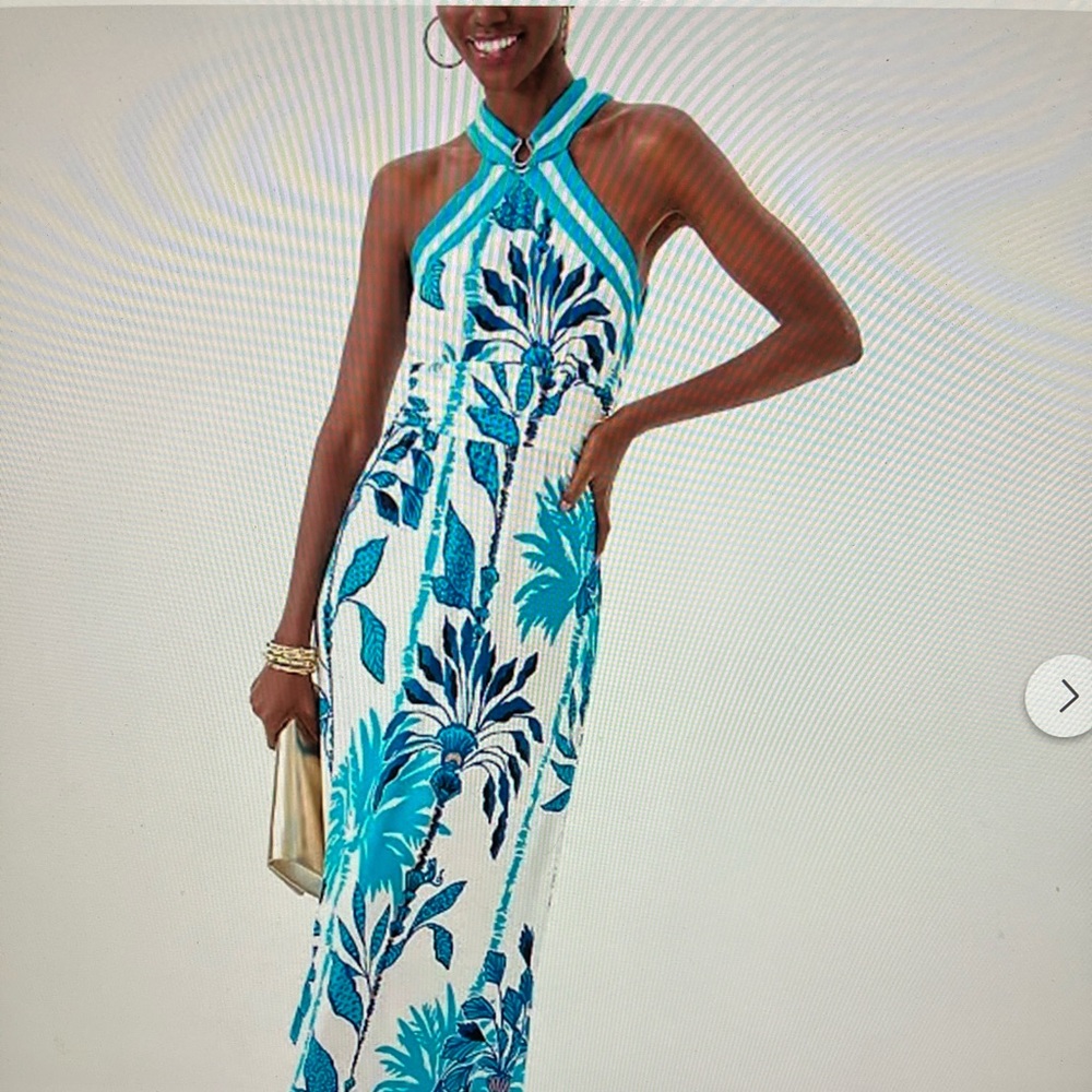 Lilly Pulitzer Devina Blue & White maxi Dress
Size 12